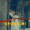 Spune-mi (feat. Gabriela Marin) - Single