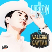 Ay Corazón (En Vivo) artwork