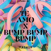 Te Amo X Bump, Bump, Bump (Mashup) [Remix] artwork