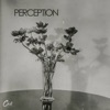 Perception - EP