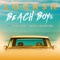 Beach Boys (feat. Mike Love & Bruce Johnston) artwork