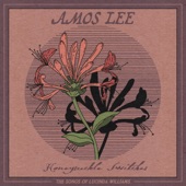 Amos Lee - Greenville