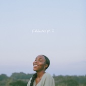 FIELDNOTES PT II - EP artwork