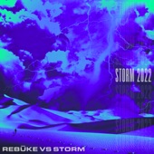 Storm 2022 artwork