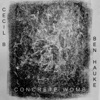 Concrete Womb - Single