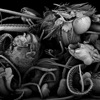 Ohmu - Butterfly Sutures