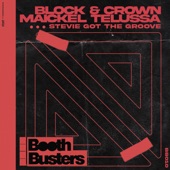 Stevie Got the Groove (Nu Disco Bounce) artwork