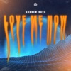 Love Me Now - Single