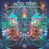 Acid Trip artwork