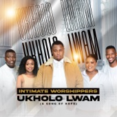 Ukholo Lwam (A Song of Hope) artwork