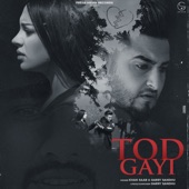 Tod Gayi artwork