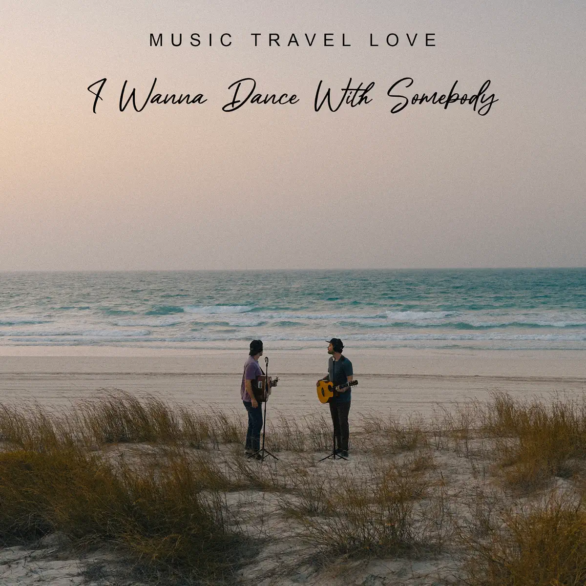 Music Travel Love - I Wanna Dance With Somebody - Single (2023) [iTunes Plus AAC M4A]-新房子