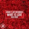 What Is Love (Rudii Remix) [feat. Kati Arzhanova] artwork