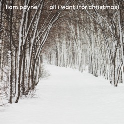 ALL I WANT (FOR CHRISTMAS) cover art