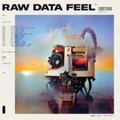 Raw Data Feel artwork