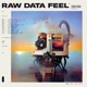 RAW DATA FEEL cover art