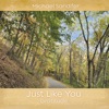 Just Like You - Single