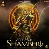 Har Har Shambhu artwork