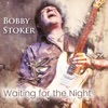 Waiting for the Night - Single