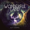 Wonderful Land - Single