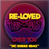 Over You (Birdee Extended Remix) artwork