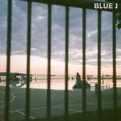 Blue J - Borderline