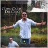 Como Caida del Cielo - Single