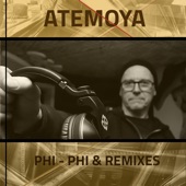 Atemoya (Bolle Remix) artwork