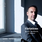Mozart, Beethoven and Brahms: Variations artwork