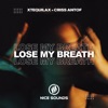 Lose My Breath - Single