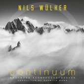 Continuum (Deluxe Edition) artwork