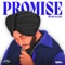 Promise artwork