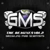 Firewall (Gms Remix) song lyrics