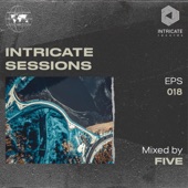 Intricate Sessions Podcast #018 (DJ Mix) artwork