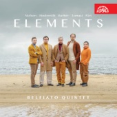 Elements (Nielsen - Hindemith - Barber - Tomasi - Pärt) artwork