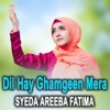 Dil Hay Ghamgeen Mera - Single