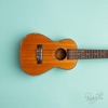 Ukulele Song - Single