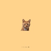 Angry Cat (feat. Trinix) artwork