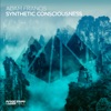 Synthetic Consciousness - Single