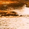 Tapps - Lake Eyes lyrics