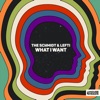 What I Want - Single