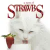 A Taste of Strawbs album lyrics, reviews, download
