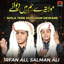 Mola Tere Hum Hain Dewane - Single by Irfan Ali & Salman Ali album reviews, ratings, credits