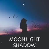 Moonlight Shadow (Guitar Version) artwork