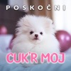 Cuk'r Moj - Single