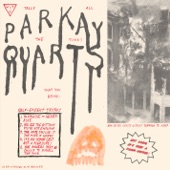 Parquet Courts - The More it Works