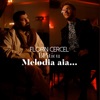 Melodia aia... - Single