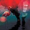 World on Fire - Single