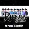 No Puedo Olvidarla - Single album lyrics, reviews, download