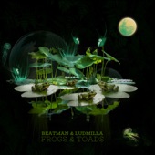 Frogs & Toads (Extended Mix) artwork